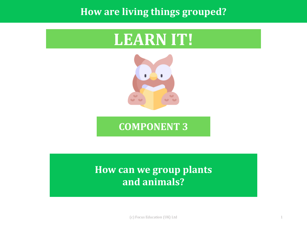 How can we group plants and animals? - Presentation