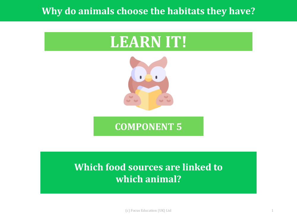Which food sources are linked to which animal? - Presentation
