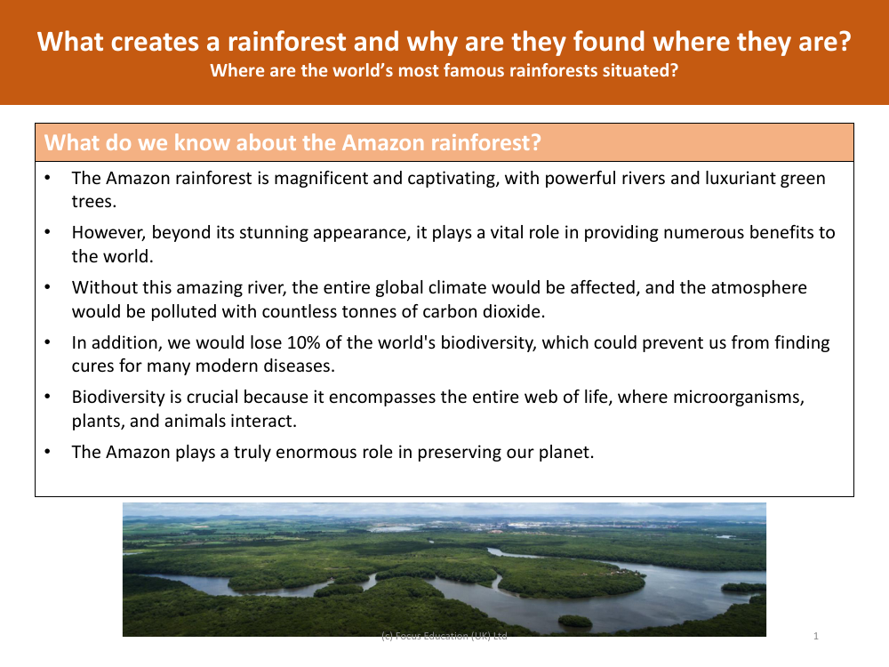 Amazon rainforest - Info sheet