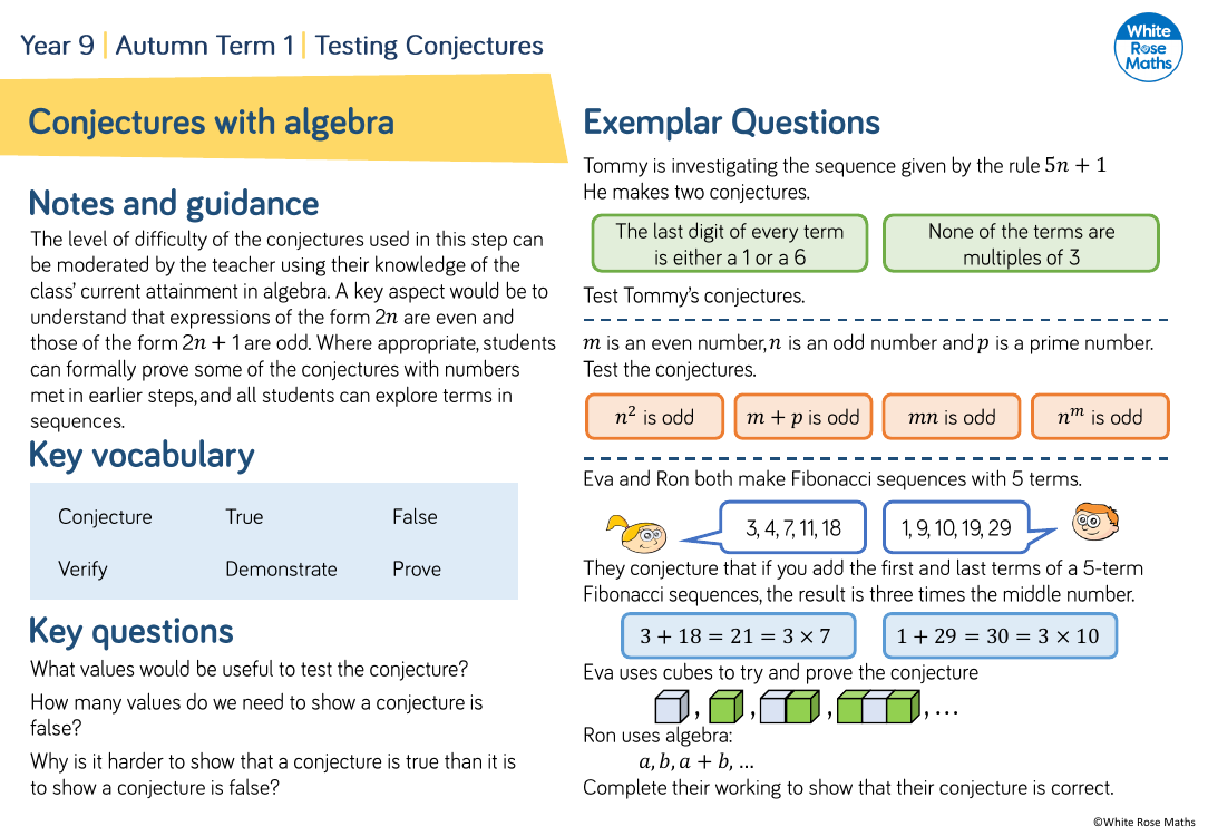 Conjectures With Algebra: Questions | Maths