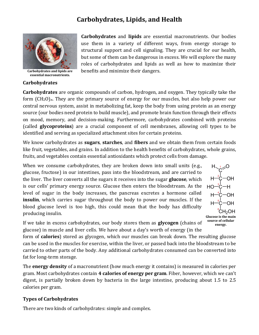 Carbohydrates and Lipids - Reading with Comprehension Questions