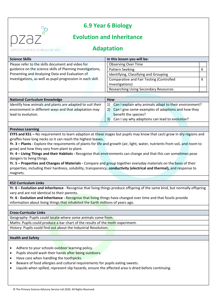 Adaption - Lesson Plan | Science Year 6