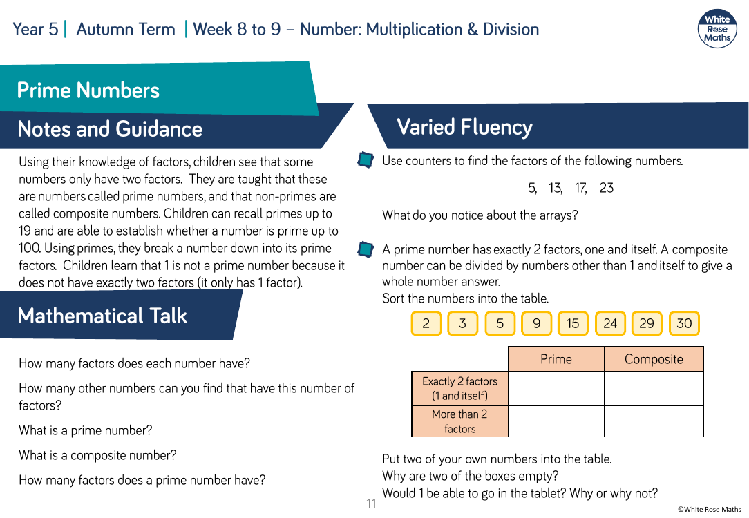 Prime numbers: Varied Fluency