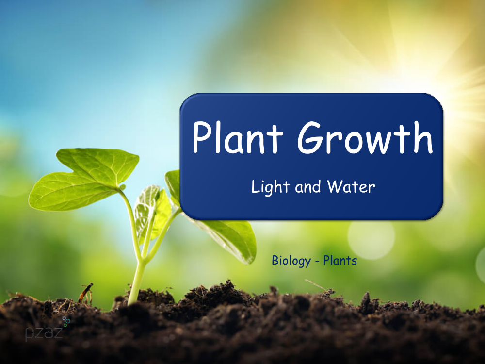 Plant Growth (Light and Water) - Presentation