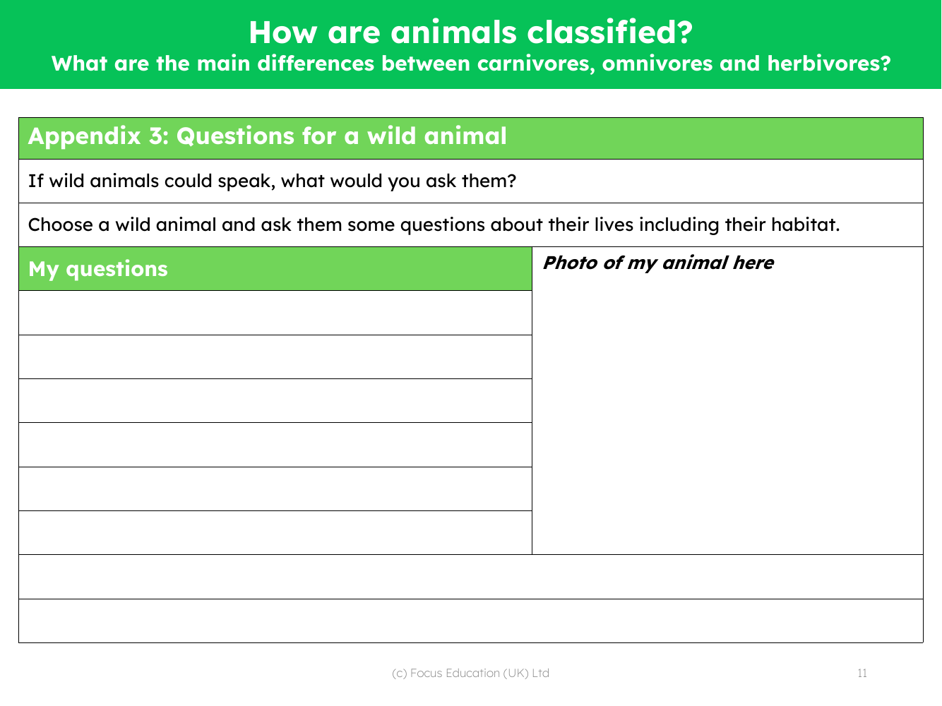 Questions for a wild animal - Worksheet