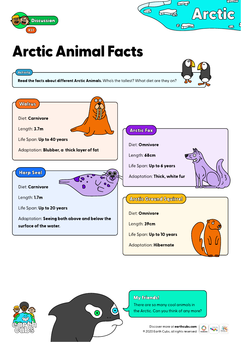 Arctic Animal Facts | Pango