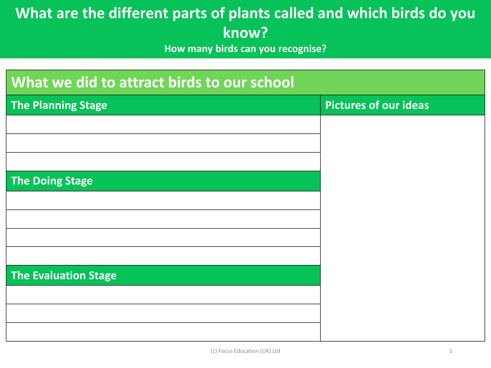 What we did to attract birds to our school - Worksheet - Year 1