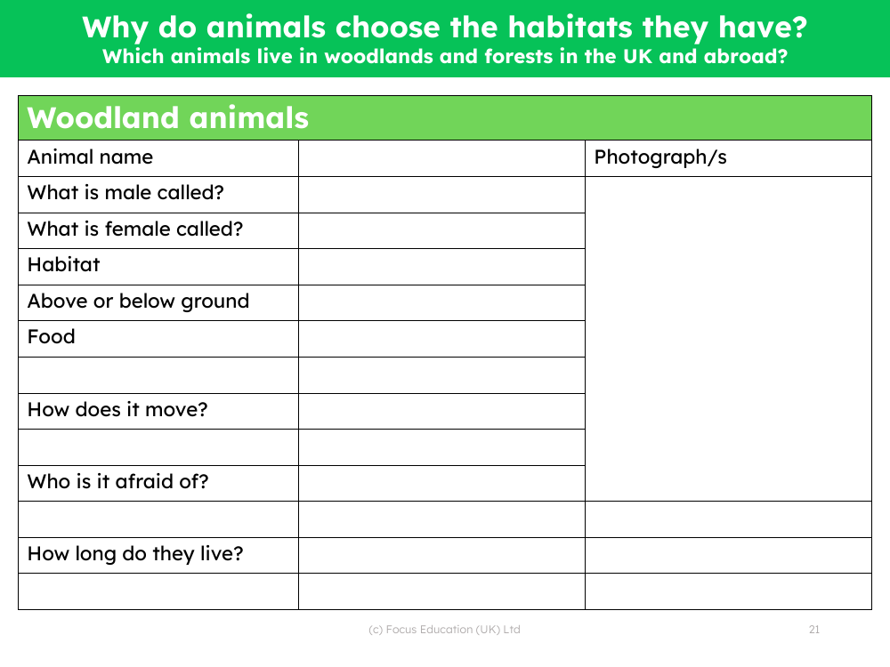 UK woodland animals fact file - Worksheet