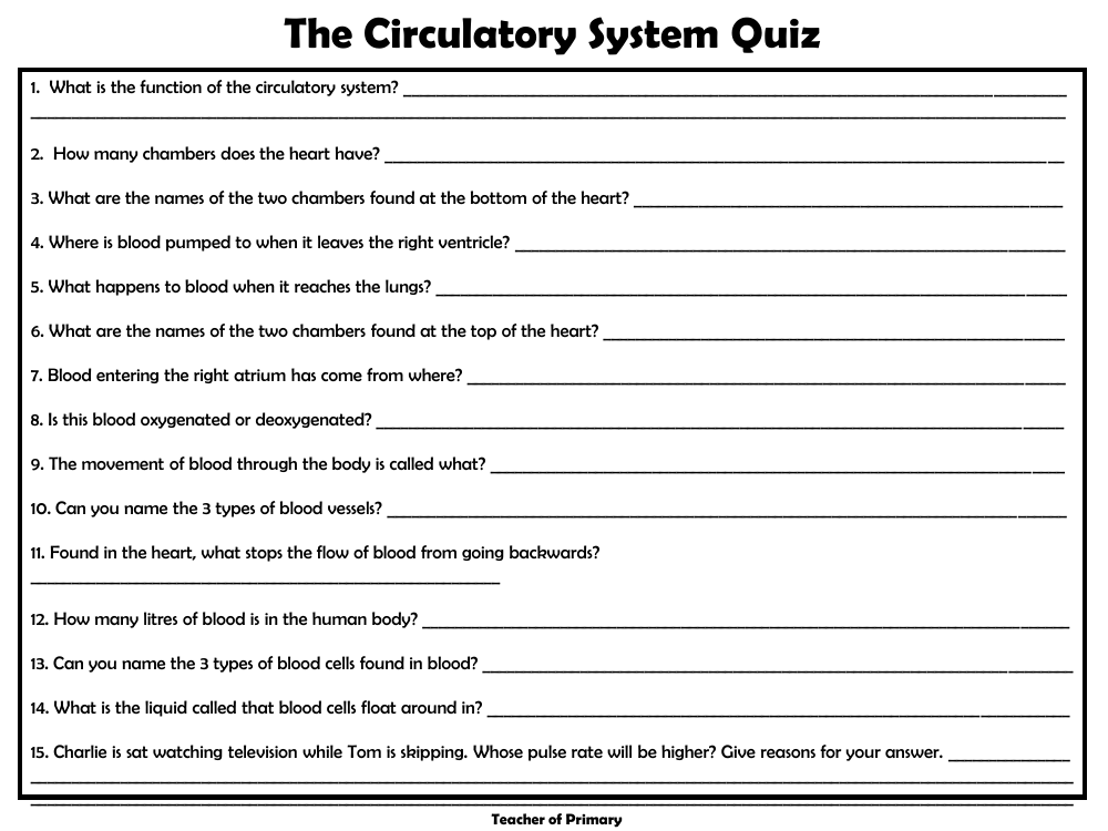 Quiz - The Circulatory System