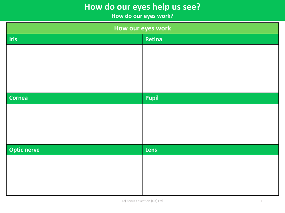 How our eyes work: Different Parts - Worksheet - Year 6