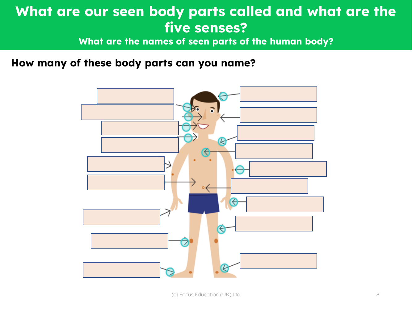 How many body parts can you name? - Worksheet