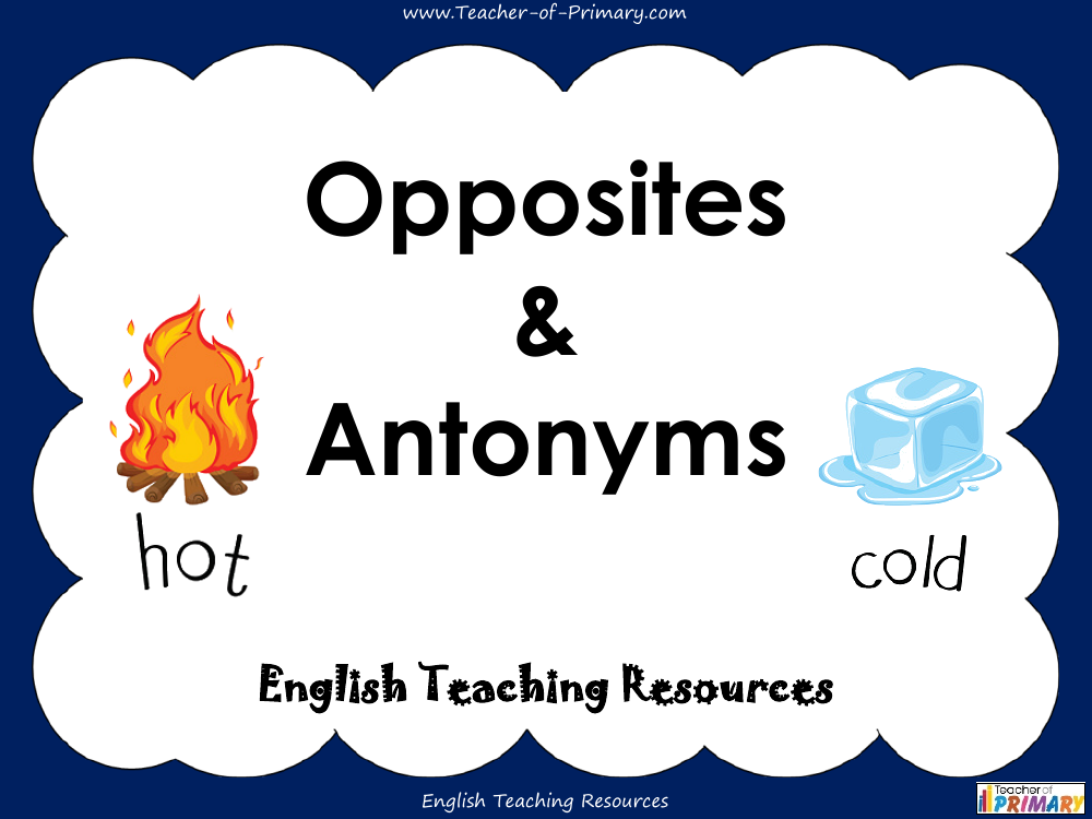 Opposites And Antonyms English 4th Grade