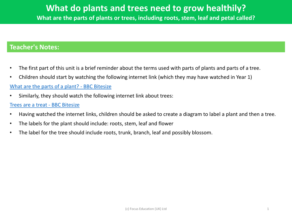 What are the main parts of plants and trees, including roots, stem, leaves and petals called? - Teacher's Notes