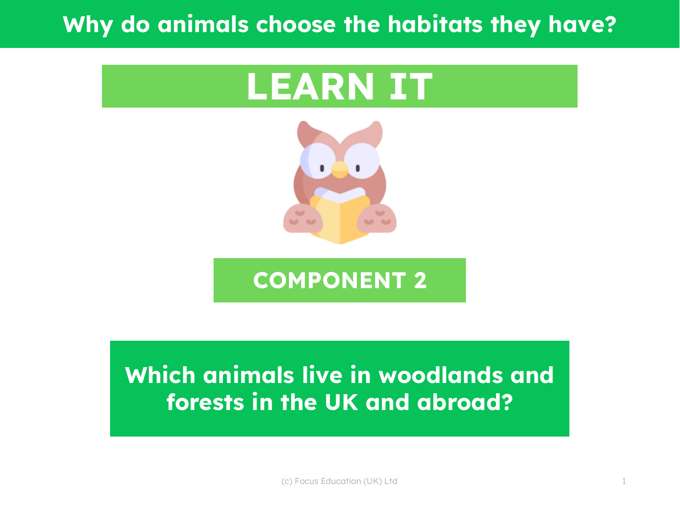 Which animals live in woodlands and forests in the UK and abroad? - Presentation