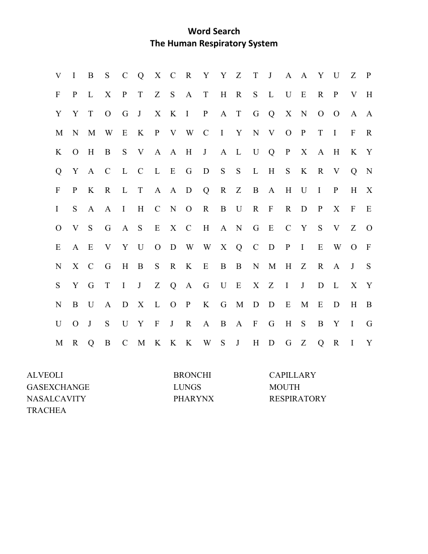 The Human Respiratory System - Word Search