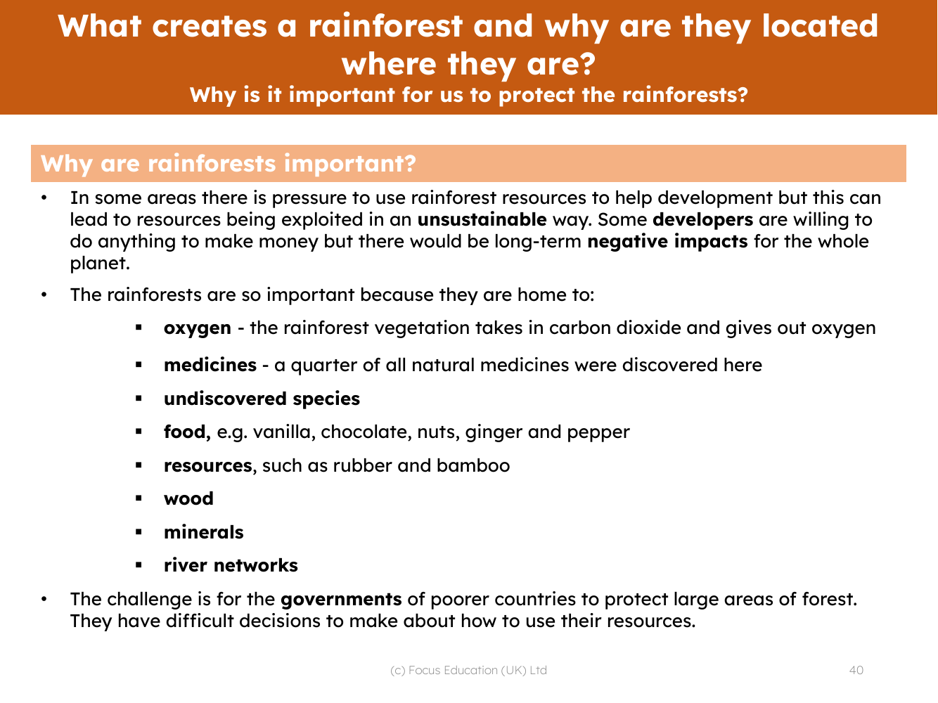 Why are rainforests so important? - Info sheet