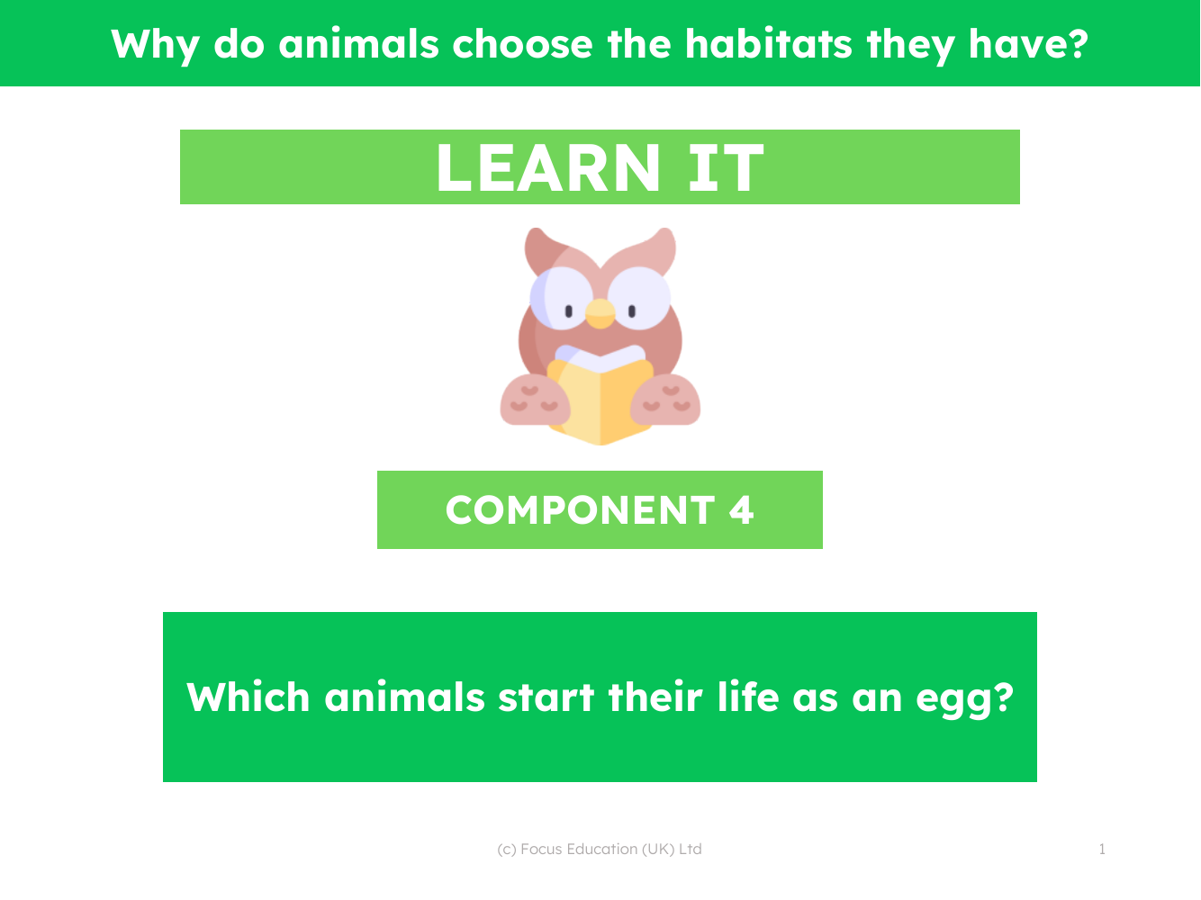 Which animals start their life as an egg? - Presentation