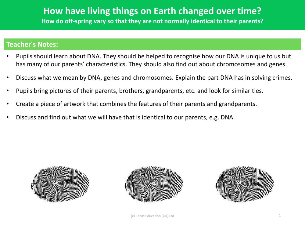 How do off-spring vary so that they are not normally identical to their parents? - teacher's notes