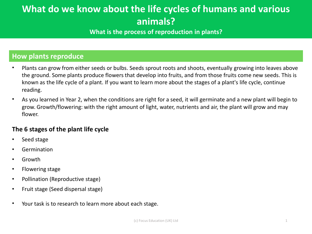 How plants reproduce? - Changes as you grow - Year 5