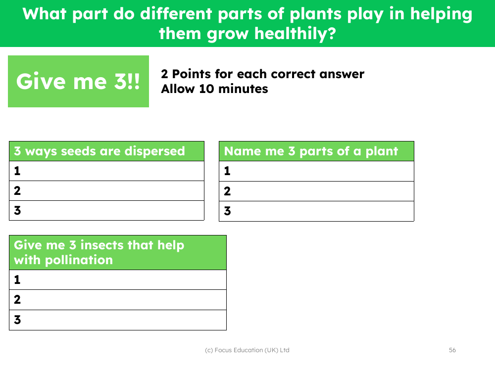 What part do different parts of plants play in helping them grow healthily? - Give me 3! - knowledge recap - worksheet