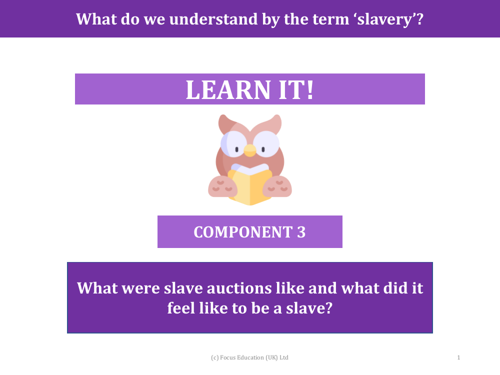 What were slave auctions like and what did it feel like to be a slave? - Presentation