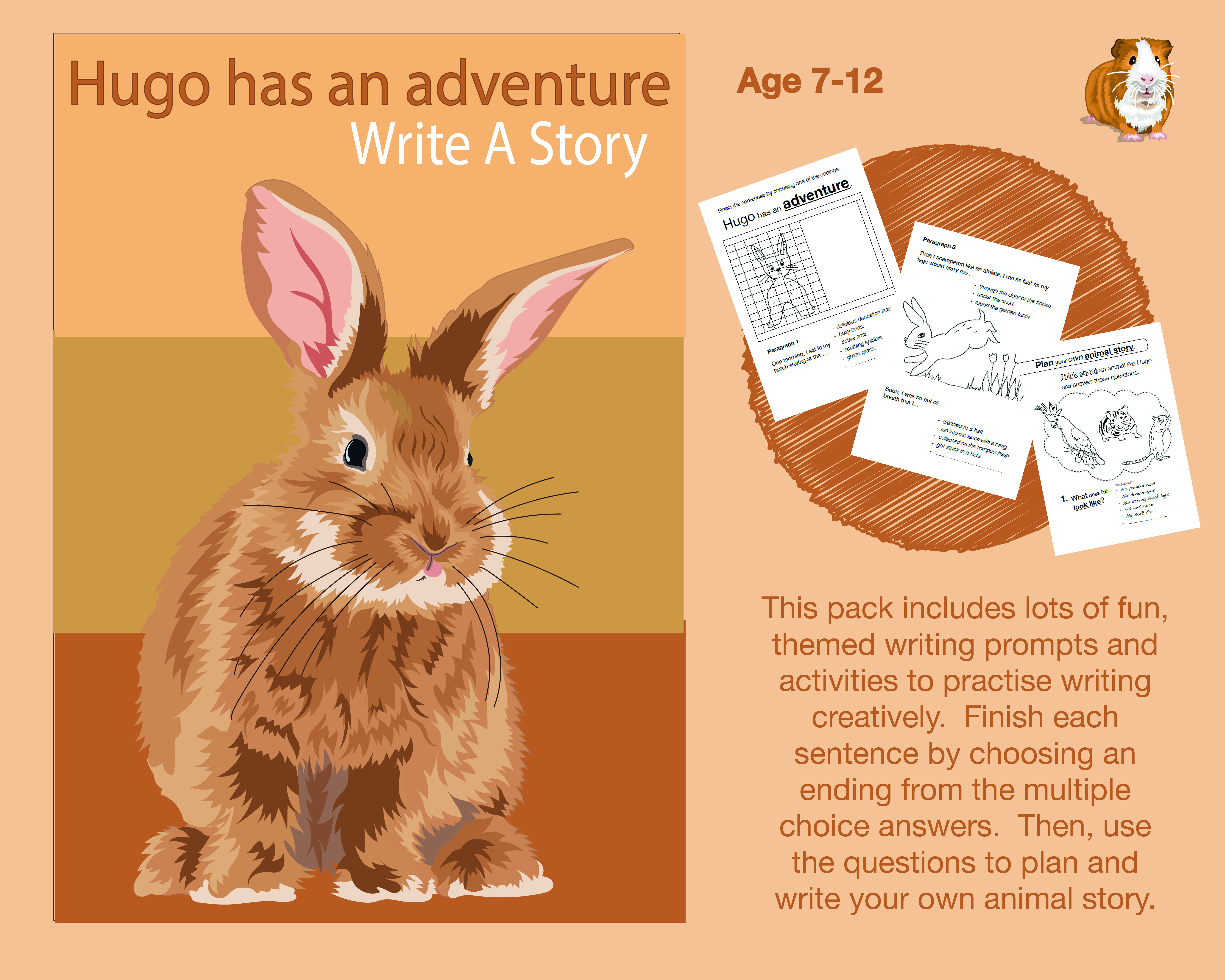 Write A Story Called 'Hugo Has An Adventure' (7-11 years) - Teacher Notes