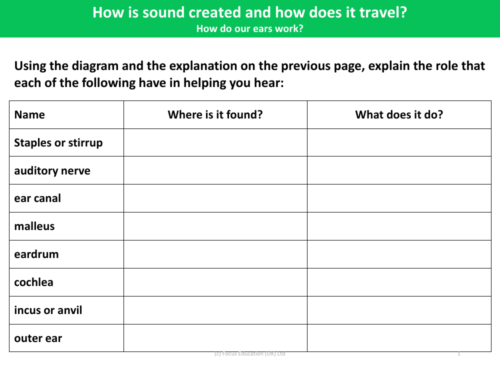 What do different parts of our ears do? - Worksheet