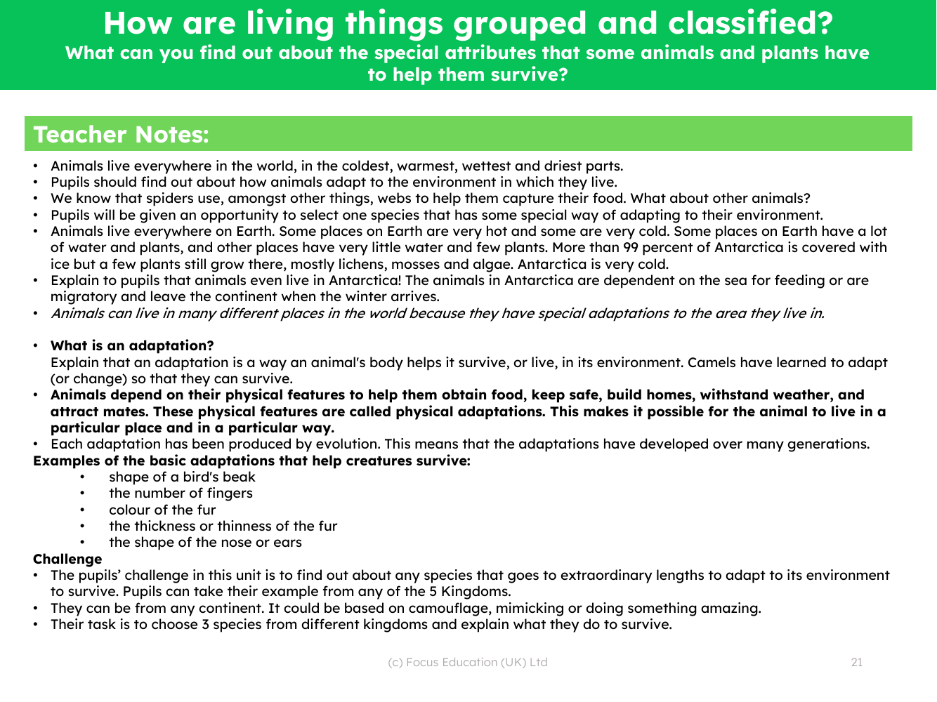 What can you find out about the special attributes that some animals and plants have to help them survive? - Teacher notes