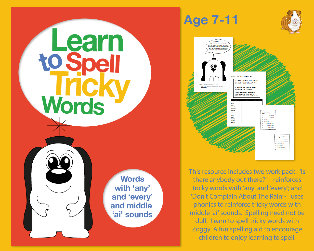 Spell Tricky Words with 'any' and 'every' And Middle ‘ai’ Sounds (7-11 years) - Teacher Notes