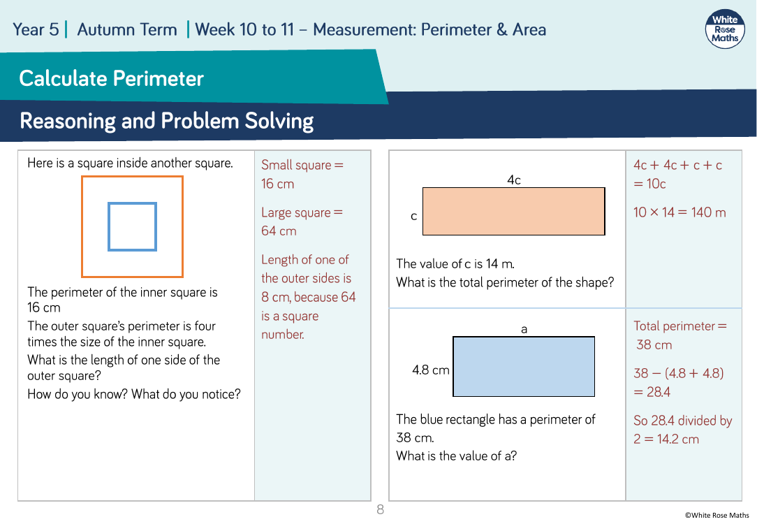 perimeter reasoning and problem solving