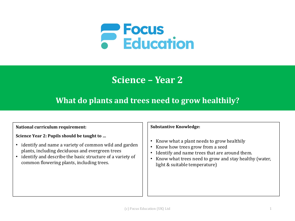 What are the main parts of plants and trees, including roots, stem, leaves and petals called? - Presentation