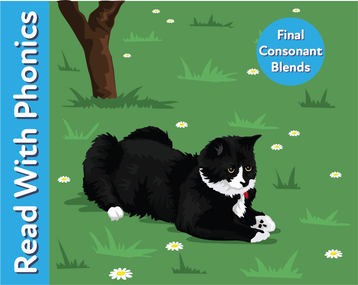 Learn Final Consonant Blends and Read the Sentences - Teacher Notes