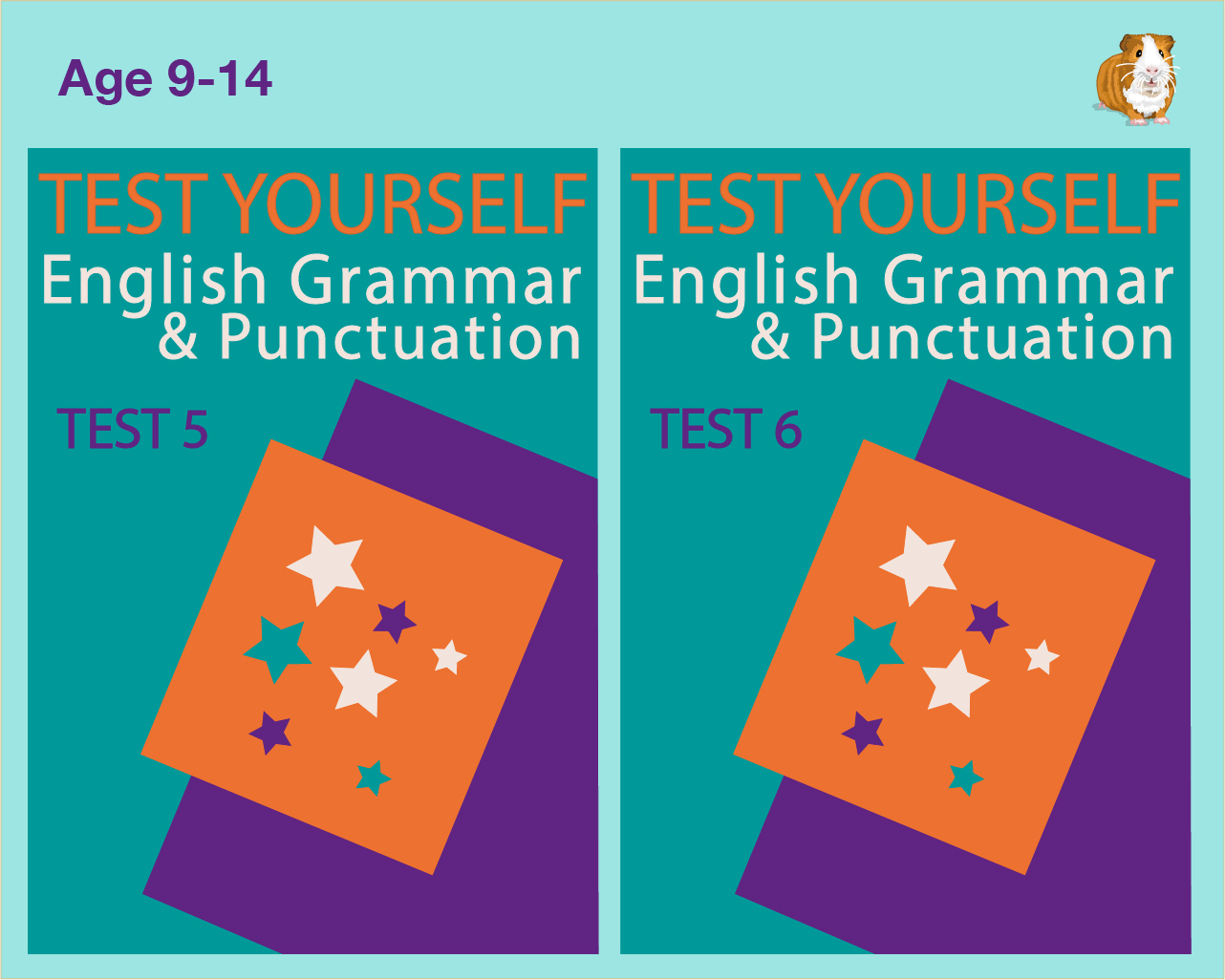 Test Your English Grammar And Punctuation Skills- Test 5 and Test 6 (9-14 years) - Teacher Notes