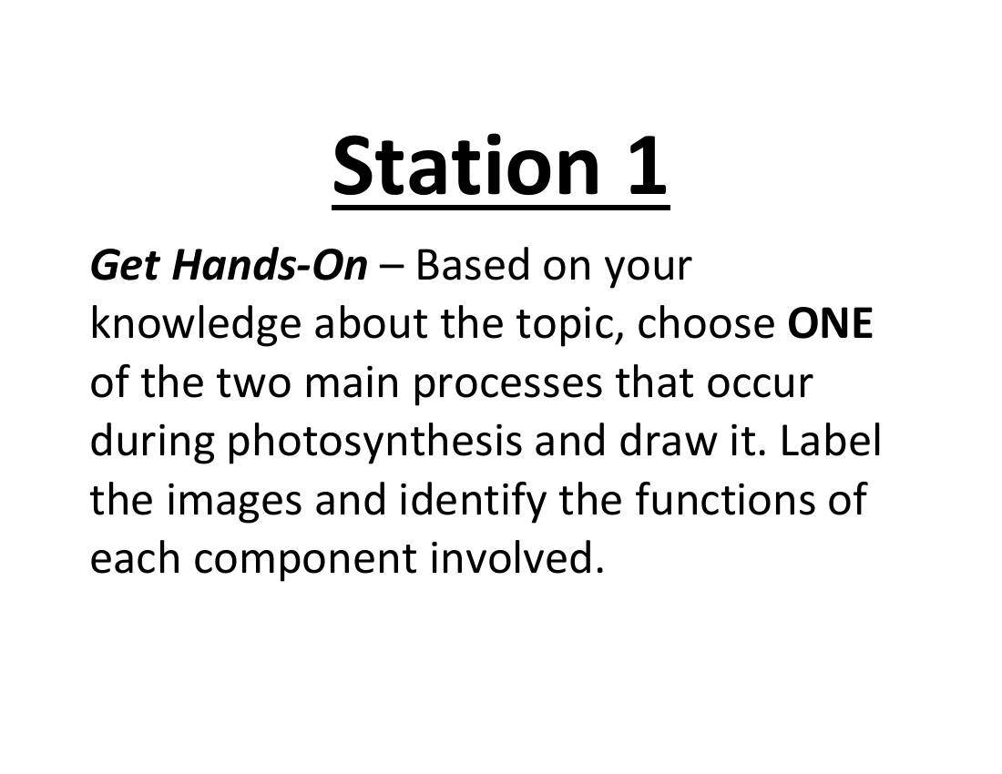 Photosynthesis -Lab Station Cards