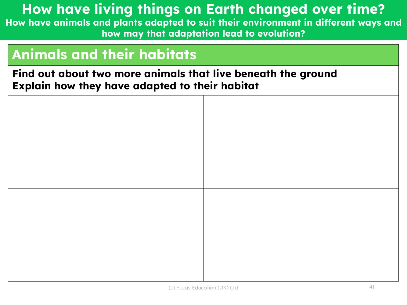 Research the adaptations of two subterranean animals - worksheet