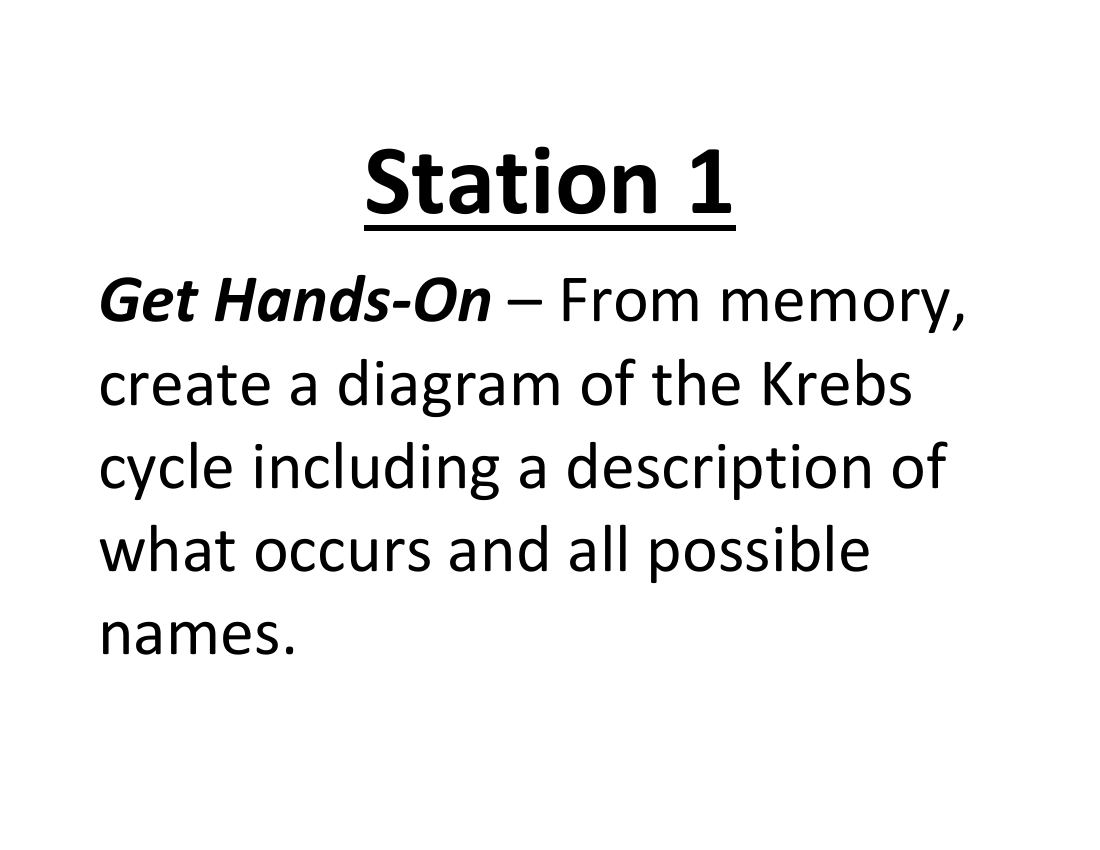 Cellular Respiration - Lab Station Cards