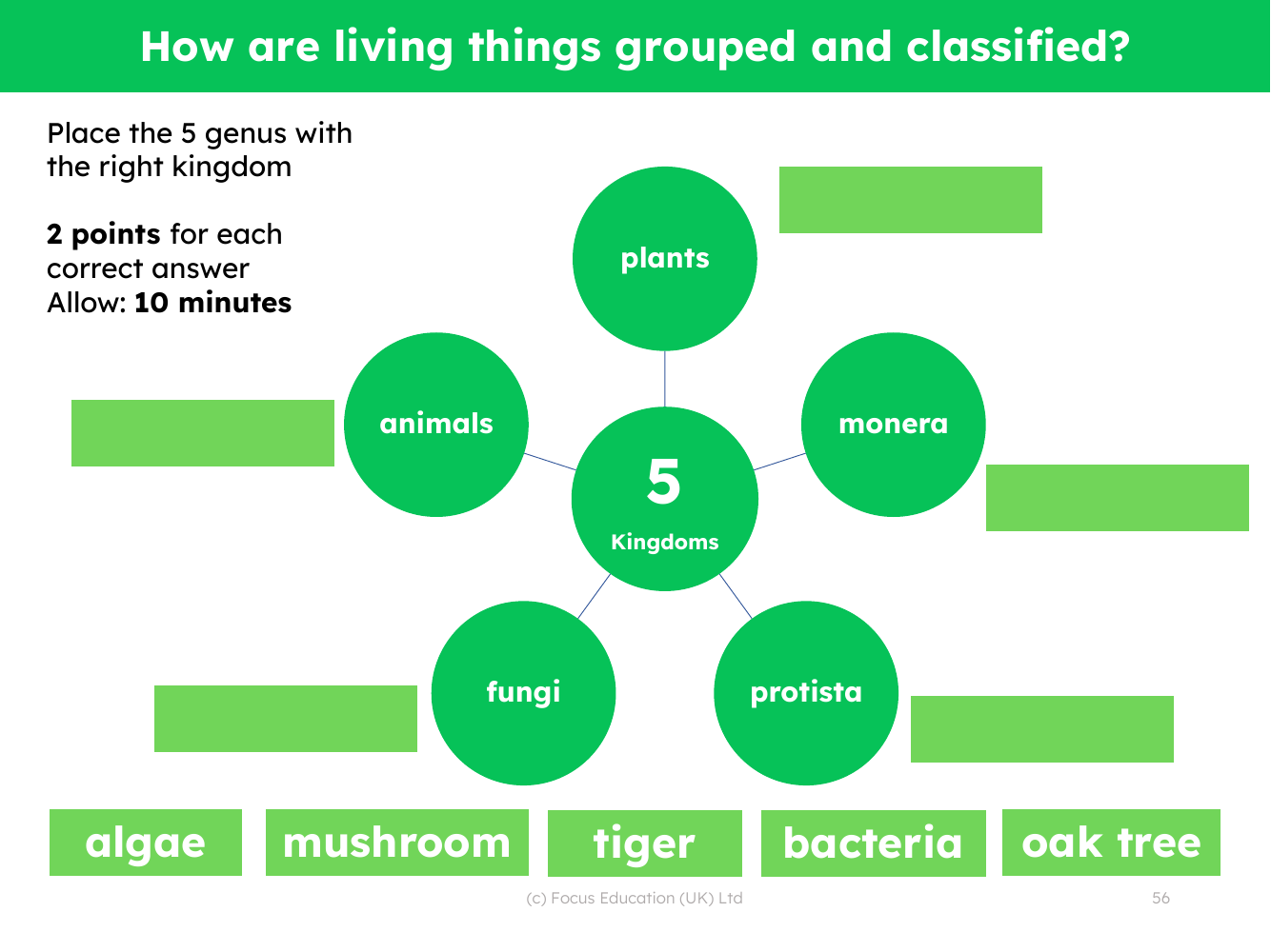 Match up - Classifying living things