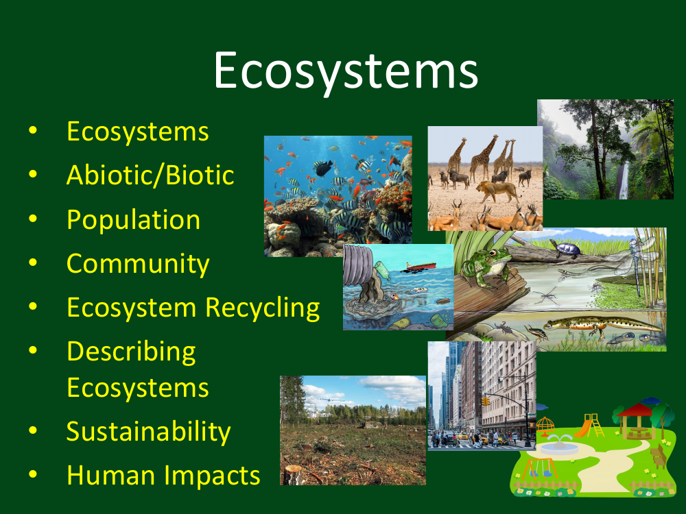 Ecosystems - Student Presentation