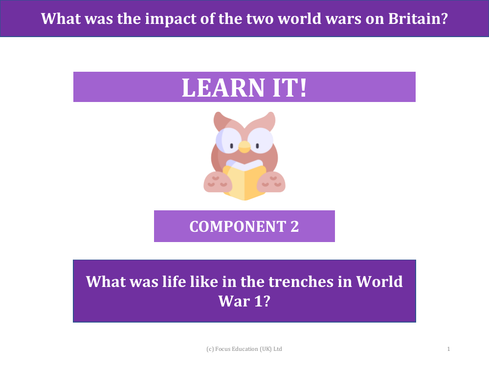 What was life like in the trenches in World War 1? - Presentation