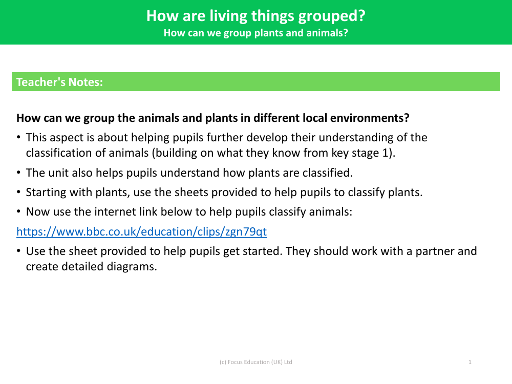 How can we group plants and animals? - Teacher's Notes