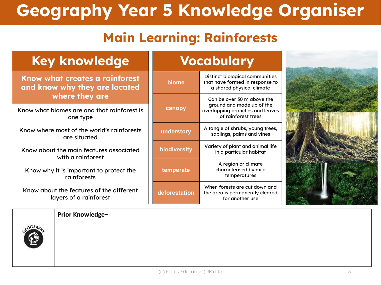 Knowledge organiser - Rainforests - Year 5