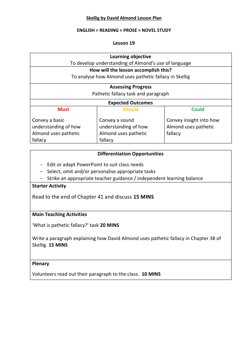 Skellig Lesson 19: A Tense Situation - Lesson Plan