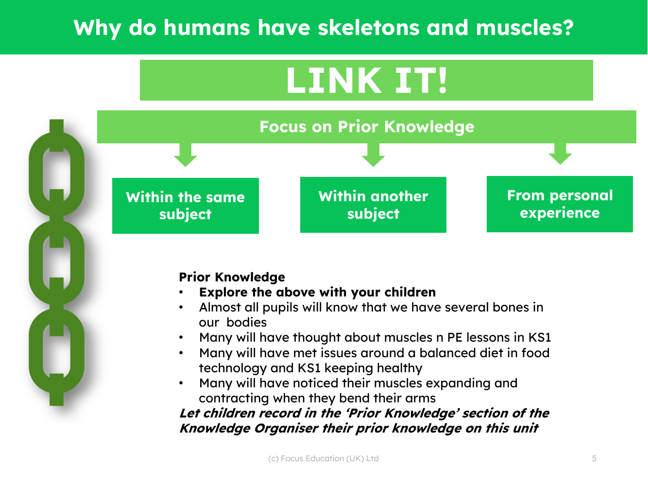 Link it! Prior knowledge - Skeletons and Muscles - 2nd Grade
