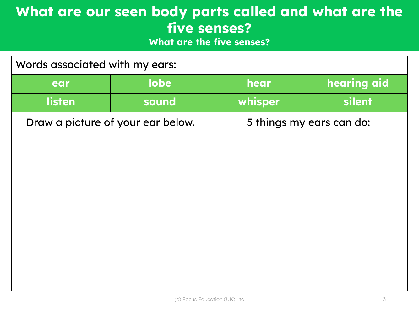 What are the five senses? - What can my ears do? - Worksheet