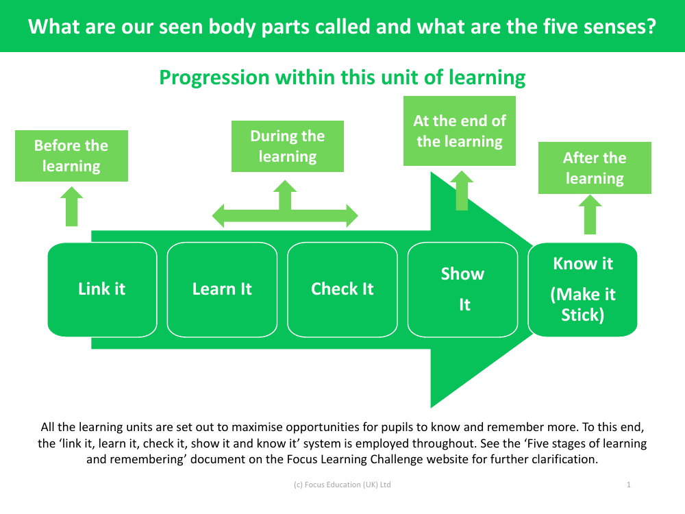 Progression pedagogy - Body Parts - Year 1