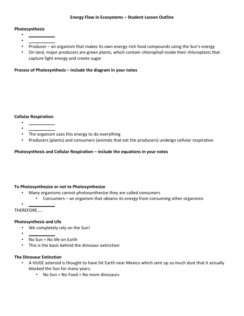 Energy Flow in Ecosystems - Student Lesson Outline