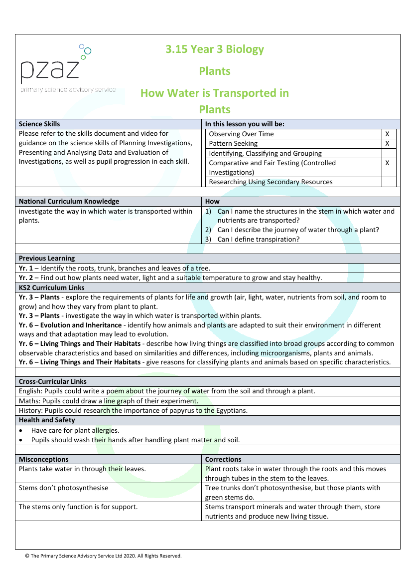 Stems - Lesson Plan