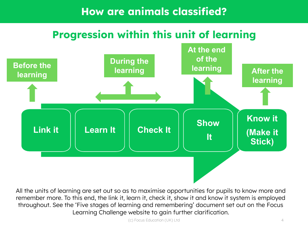 Progression pedagogy - How are Animals Classified - Kindergarten