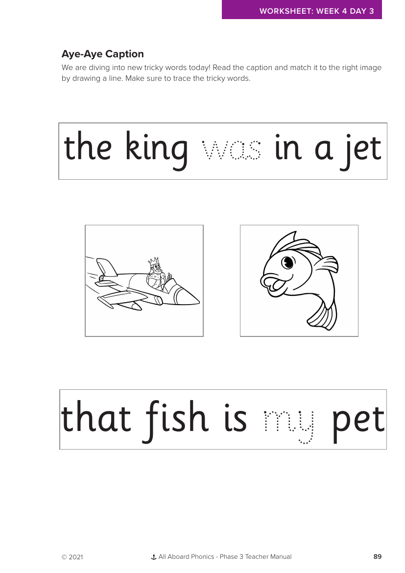 Week 4, lesson 3 Tricky words Aye-Aye Caption activity - Phonics Phase 3  - Worksheet