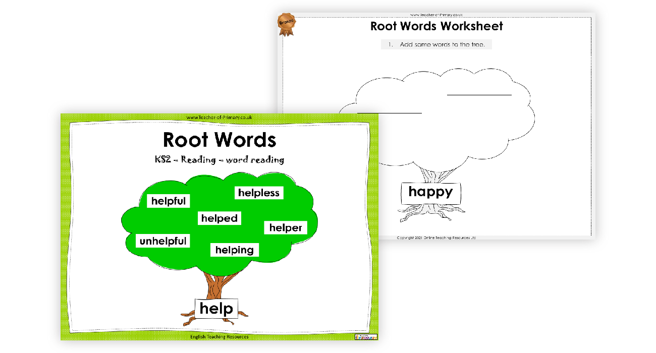 Root Words Worksheet English Year 3